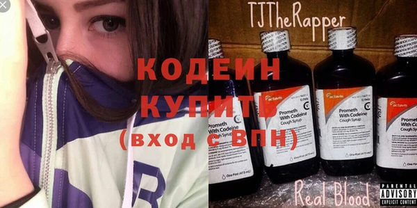 дживик Дегтярск